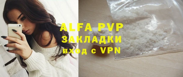 гидра Богородск